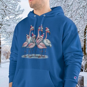 Pink and blue champion hoodie best sale