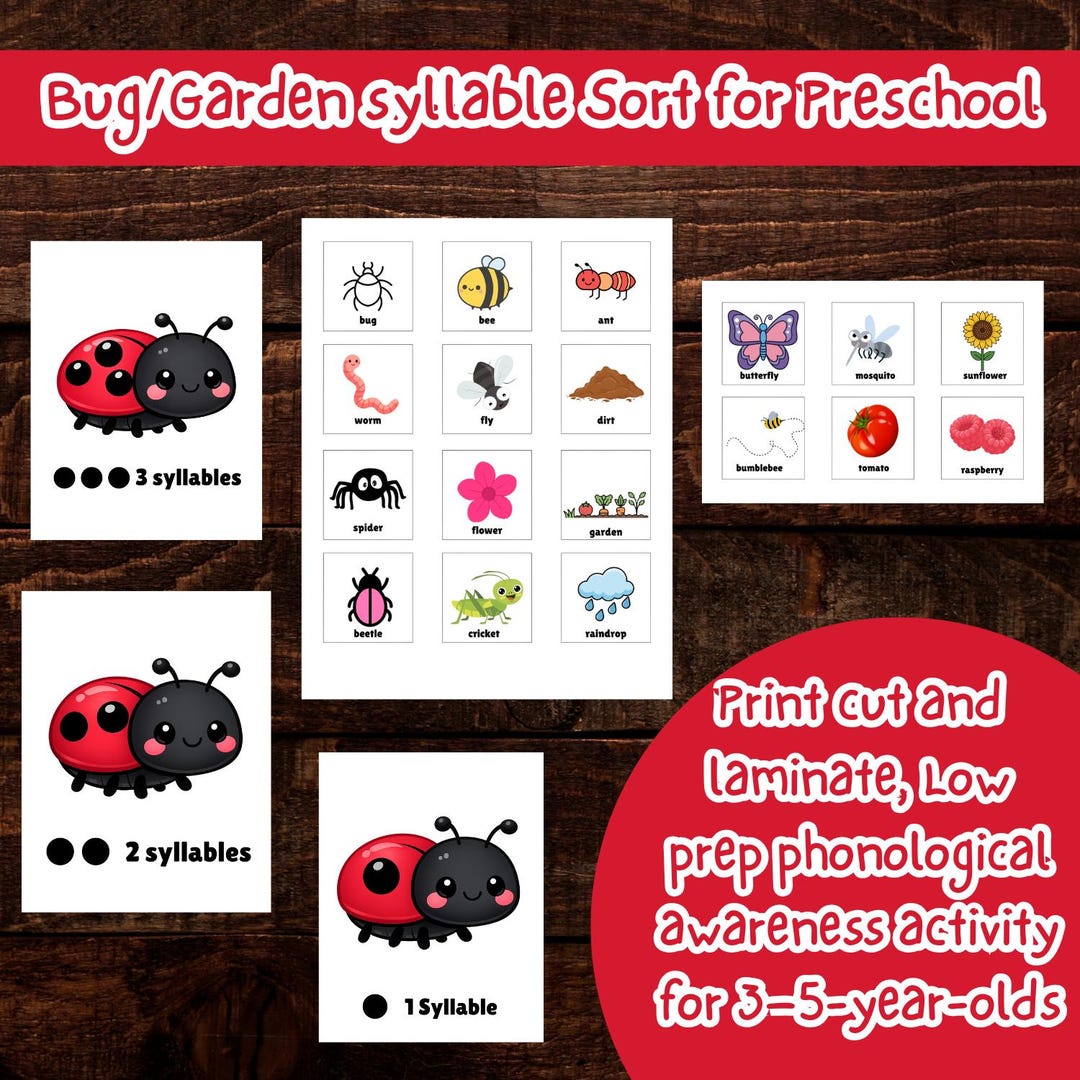 Bug and Garden Syllable Sort Activity | Preschool Phonological ...