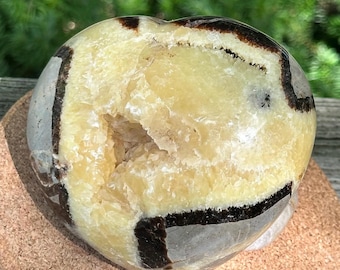 May include: Heart-shaped Septarian nodule with a geode center. The stone features a mix of yellow, brown, and gray colors. The exterior has dark brown and gray bands, while the interior reveals a crystalline geode.