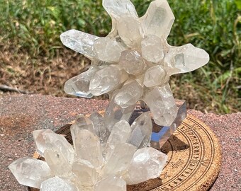 May include: A cluster of clear quartz crystals, with multiple points and a natural, raw appearance. The crystals are arranged in a branching formation, resting on a cork coaster with etched symbols. The background features green grass and a brick surface.