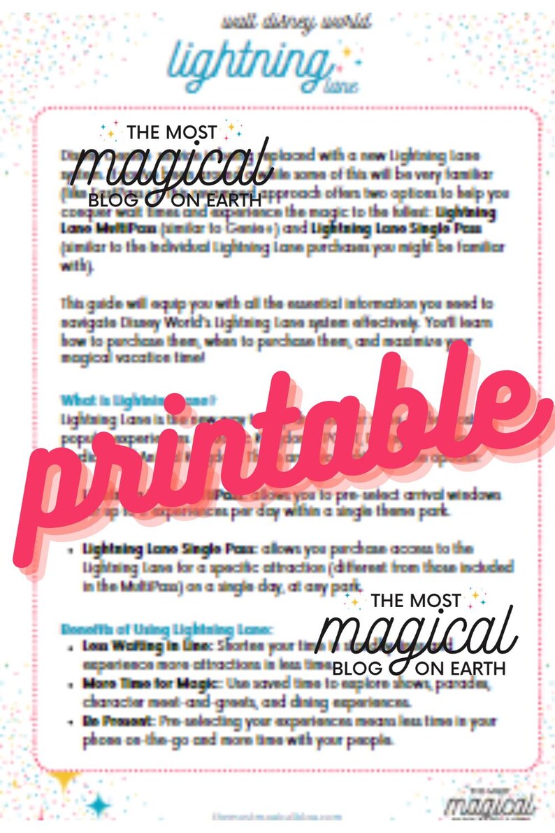 Lightning Lane What is It? Guide - Etsy