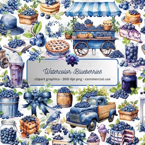 Watercolor Blueberries Clipart - blueberry themed illustrations, for instant download, PNG format, commercial use