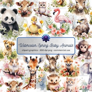 Watercolor Spring Baby Animals Clipart - cute animals in PNG format, instant download for commercial use