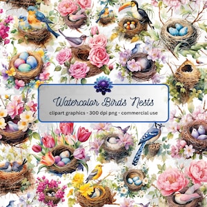 Watercolor Bird Nests Clipart - birds, eggs and blossoms PNG format, instant download for commercial use