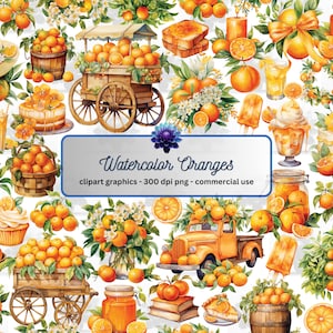 Watercolor Oranges Clipart - citrus, PNG graphics, instant download for commercial use
