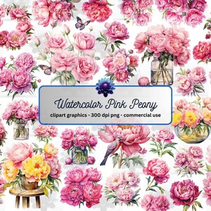 Watercolor Pink Peony Clipart - peony illustrations in PNG format instant download for commercial use