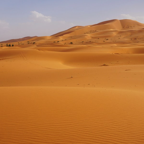 Sahara Desert, DIGITAL DOWNLOAD, Travel Photography, Wall Art