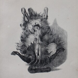 anatomy  sheep, ram, black white engraving, Buffon, 1829