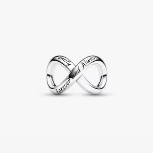 Peut inclure: Un charm infini argenté avec les mots "Family Forever and Always" gravés. Le charm est en forme de symbole infini, avec une surface polie et réfléchissante. Il s'agit probablement d'un bijou.