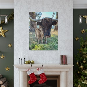Highland Cow Mother with Baby cow, Cute Baby Cow Canvas, highland cattle wall art, Scottish cow canvas, Animal wall decor
