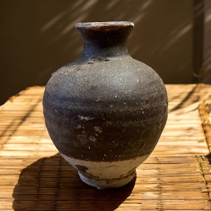 May include: A dark brown ceramic vase with a white rim. The vase has a rounded body and a narrow neck.