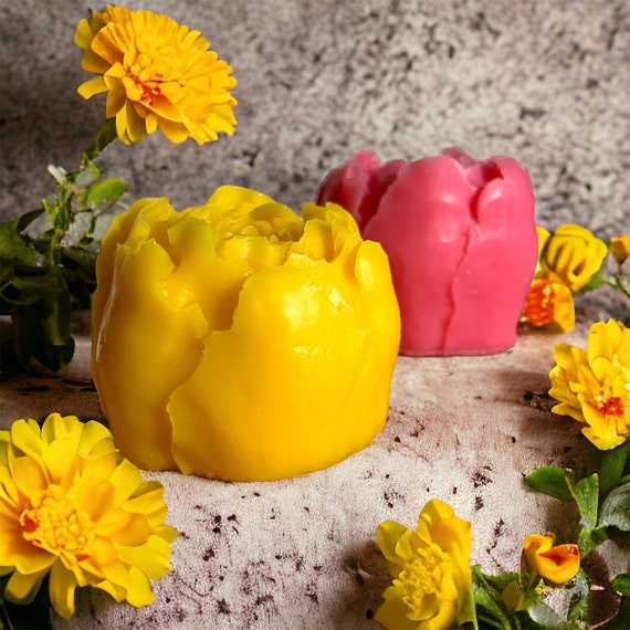 Blumenwachs einbettet, Wachsblumen, Blumeneinbettung, Blumeneinbettung