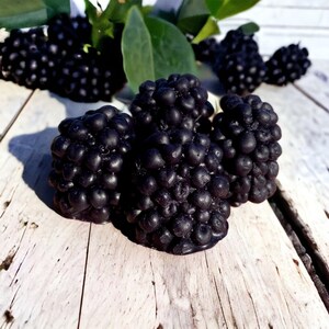 May include: Close-up of four black blackberry-shaped candles on a white wooden surface. The candles are clustered together and have a textured, bumpy surface.