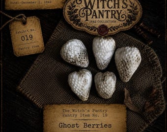 Ghost Berries – Wax Strawberry Embeds | The Witch’s Pantry: 1842, Realistic Wax Fruit Embed or Props, Halloween, Haunted Embeds