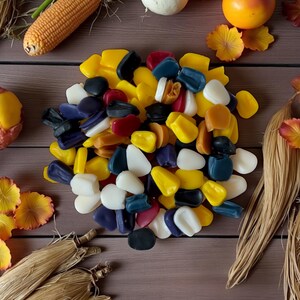 May include: A collection of colorful, smooth, and rounded stones in various colors, including yellow, white, black, red, and blue. The stones are arranged on a wooden surface, with corn and decorative fall elements.