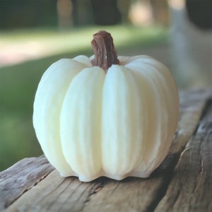 May include: A white, ceramic pumpkin with a brown stem. The pumpkin is sitting on a wooden surface.