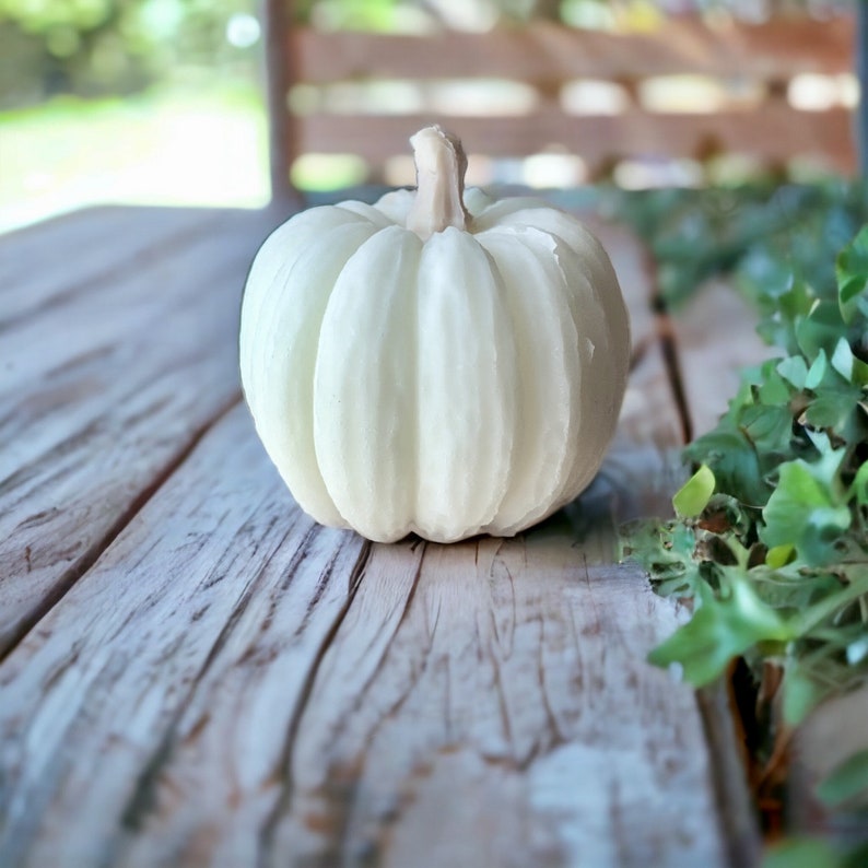 May include: A white ceramic pumpkin with a smooth, rounded surface. The pumpkin is sitting on a weathered wooden surface.