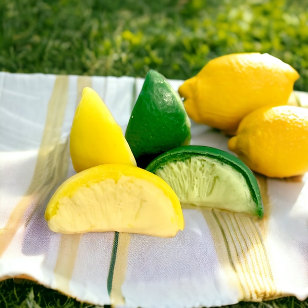 Citrus Wedge Wax Embeds, Wax Lemons, Wax Limes, Lemon Embeds, Lime Embeds, Wax Fruit, Citrus Embeds, Fakr Food, Fruit Embeds