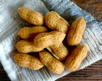 Shelled Peanuts Wax Embeds, wax peanuts, peanut embeds, faux food, fake food, food embeds
