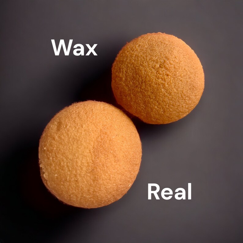 May include: Two round, light brown, sponge-like objects. One is labeled "Wax" and the other is labeled "Real".