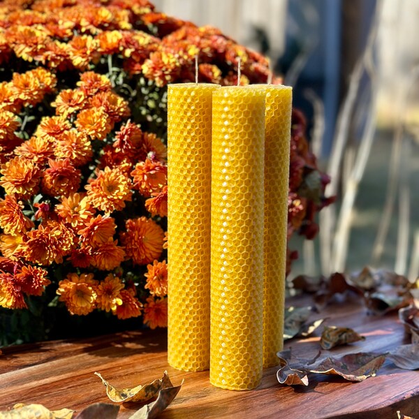 Hand Rolled Beeswax Pillar Candle Hexagon Honeycomb Pattern 8inch - Made in Alabama - Honeybee Home Decor