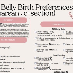 May include: A birth plan titled "My Belly Birth Preferences (cesarean . c-section)" with pink accents. The plan includes sections on pre-procedure, post-delivery, and cord cutting, with checkboxes for various options. A "Labor Bestie" logo is in the upper right corner.