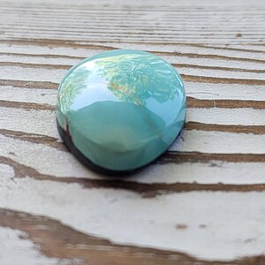 May include: A smooth, oval-shaped, turquoise-coloured stone with a glossy finish. The stone reflects the surrounding environment, showing hints of green and brown. The stone is set against a weathered, light-coloured wooden surface.