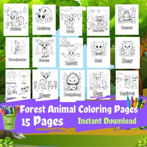 15 Forest Animals Coloring Pages, Woodland Animal Coloring Pages.