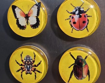 4 Piece Glass 1 inch Magnet Set: Insect/Bug Theme