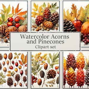 May include: A set of six watercolour illustrations featuring acorns, pinecones, leaves, and berries. The illustrations are in a vintage style and are perfect for adding a touch of autumn to your crafts and projects. Watercolor Acorns and Pinecones Clipart set.