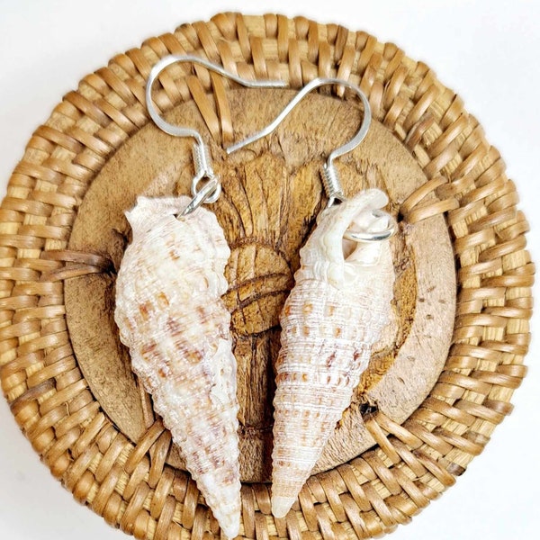 real seashell EARRINGS Cerith shell beachy jewelry beach gift seashell jewelry