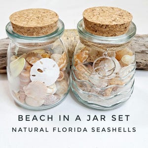 Beach in a jar SET beach escape Real Shells and Coral in Glass Jars cork lid Beach Lover Gift Idea Beach decor home gift wedding display