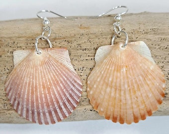 variety real florida seashell earrings Scallop shells jewelry beachy style gift