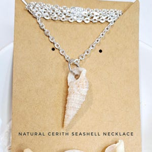 May include: A natural cerith seashell necklace. The pendant is a light beige cerith seashell suspended from a silver-colored chain. The necklace is displayed on a brown card with the text "NATURAL CERITH SEASHELL NECKLACE".