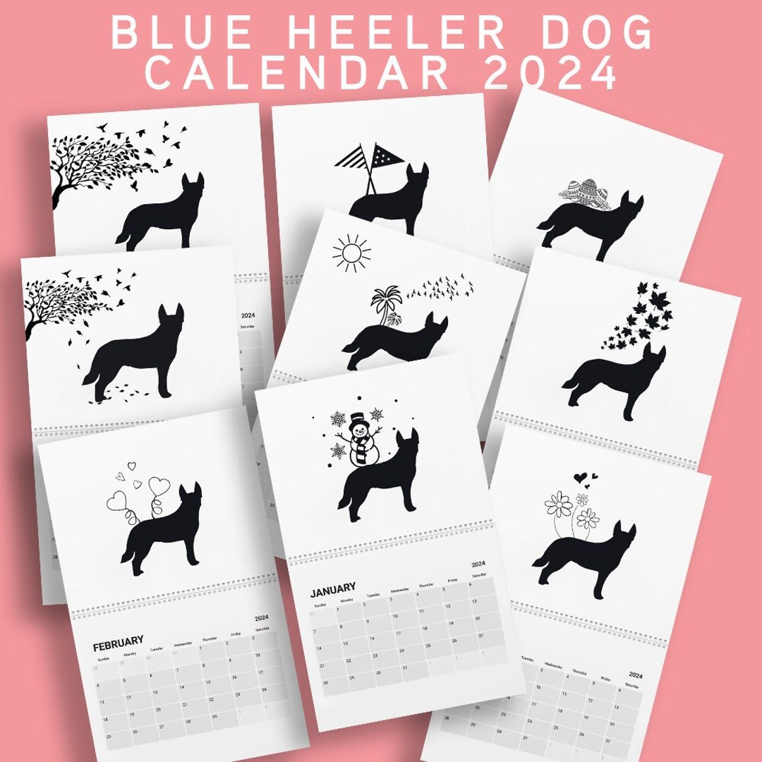 Blue Heeler Calendar 2024 Blue Heeler Lover Gifts Blue Heeler Mom Gifts