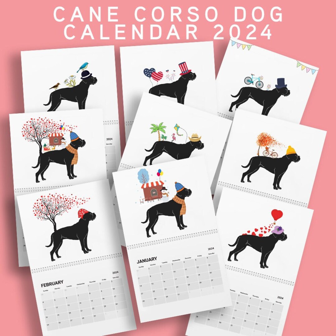 Cane Corso Calendar 2024 Cane Corso Wall Calendar Gifts Cane Corso Art