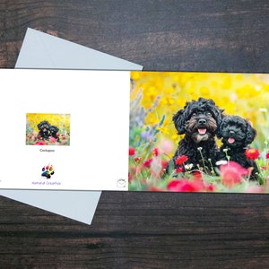 CARTÃO COCKAPOO, Cão e cachorrinho, Cartão em branco brilhante, Cães e flores fofos, Presente para amantes de cães, Cartão de felicitações para animais de estimação, Cães pretos