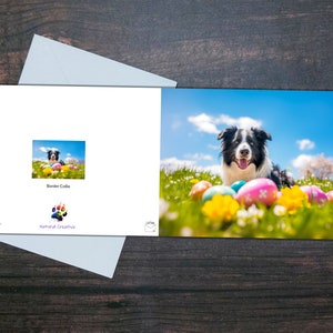Cartão de PÁSCOA BORDER COLLIE, cachorro feliz deitado entre ovos de Páscoa, cartão brilhante dentro em branco, presente para dono de animal de estimação, presente colorido para amante de cães