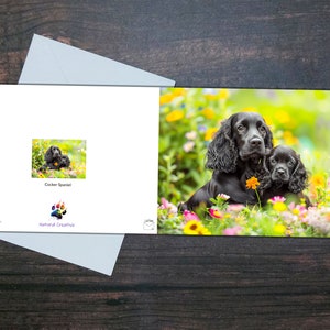 COCKER SPANIEL CARD, Cane e cucciolo, Biglietto bianco lucido, Cani carini e fiori, Regalo per amante dei cani, Biglietto d'auguri per animali domestici