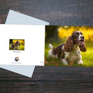 TARJETA COCKER SPANIEL, Tarjeta de felicitación de perro lindo, Tarjeta brillante, Perro adorable jugando afuera en hojas, Regalo del dueño de la mascota, Tarjeta de amante de los animales