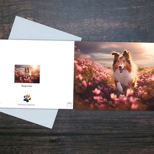 CARTE ROUGH COLLIE, carte de voeux mignonne, carte vierge pour amoureux des chiens, carte sur papier glacé, beau chien, carte d'été ensoleillé, carte comme une fille, carte pour animal de compagnie
