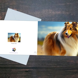 CARTÃO ROUGH COLLIE, cartão bonito, cartão para amantes de cães, cartão em branco, cartão brilhante, cachorro bonito, cartão de verão ensolarado, cartão tipo Lassie, cartão para animais de estimação