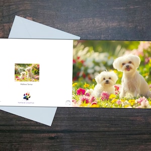 CARTA MALTESE TERRIER, Cane e cucciolo, Carta bianca lucida, Cani carini e fiori, Regalo per amante dei cani, Biglietto d'auguri per animali domestici