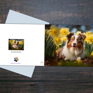Tarjeta de PASCUA PASTOR AUSTRALIANO, Tarjeta de felicitación en blanco, Perro lindo junto a flores, Tarjeta brillante, vibrante y colorida, Regalo del dueño del perro, Narcisos