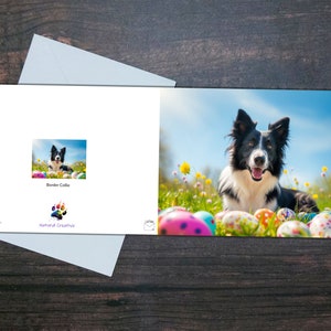 BORDER COLLIE OSTER Karte, Glücklicher Hund liegt unter Ostereiern, Innenseite blanko, Geschenk für Tierbesitzer, Buntes Geschenk für Hundeliebhaber