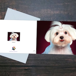 MALTESER TERRIER KARTE, Süßes Hundeportrait, Blanko Grußkarte, Geschenk für Tierliebhaber, Weißer Hund