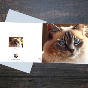 BEAUTIFUL CAT CARD, Carte de voeux balinaise, Portrait d'un chat, Chat mignon, Blanc à l'intérieur, Cadeau pour amoureux des chats, Cadeau pour amoureux des animaux, Cadeau vétérinaire