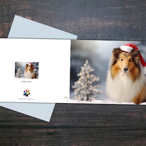 ROUGH COLLIE XMAS card, Cute happy dog wearing Santa hat, Fun festive winter Christmas card, Seasonal glossy blank card, Christmas tree