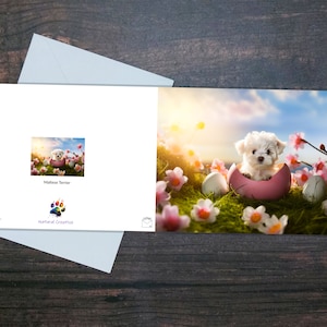 Niedliche Malteser Osterkarte, Blanko-Grußkarte, Welpe im Osterei, umgeben von Blumen, Helle, lebendige und farbenfrohe Karte, Geschenk für Hundebesitzer