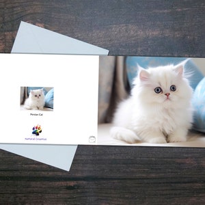PERSISCHE KÄTZCHEN-KARTE, Haustier-Grußkarte, leere Innenkarte, Katzengeschenk, Katzenliebhaber, süße Katze, Bedruckte Haustier-Grußkarte, Tierkarte